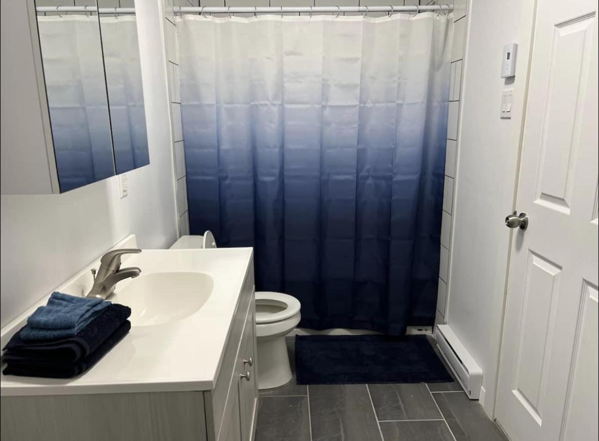 Fantastique 3 Chambres Modernes Au Coeur De La Ville Montreal Zewnętrze zdjęcie